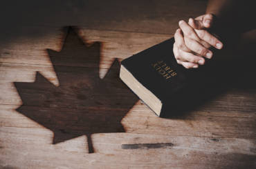 License & Ordination